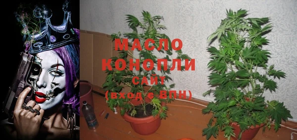 метадон Каменка