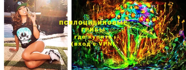 метадон Каменка