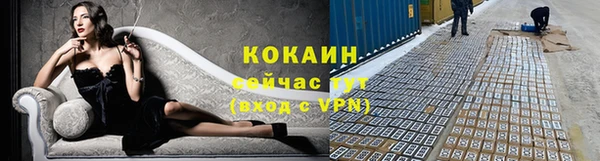метадон Каменка