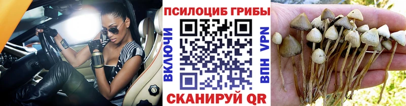 Купить где  Ачинск  Галлюциногенные грибы мухоморы 